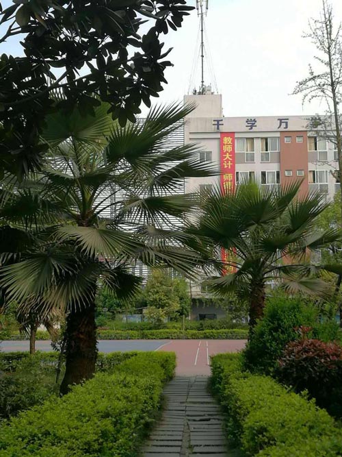 成都厨师厨师专业学校冬日晨景