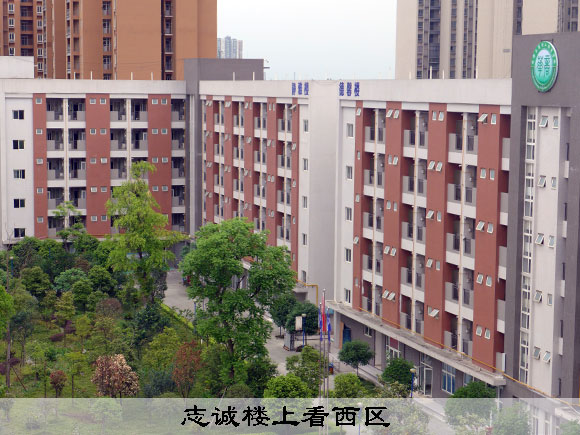 鸟瞰厨师烹饪学校